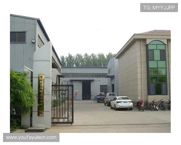 欧博abg官方会员系统介绍及会员权益提升的实用技巧