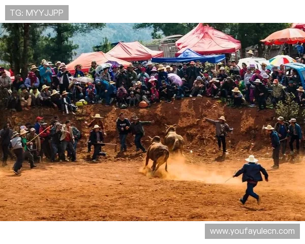 最新现金斗牛平台推荐，安全可靠的线上斗牛娱乐体验指南