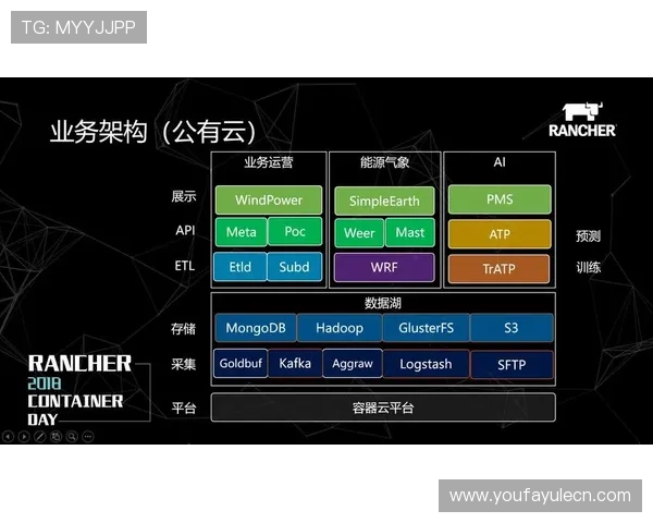 DB真人漏洞利用案例分析及应对策略，提升游戏运营安全管理水平